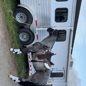 Meet your Posher, Shaylynn